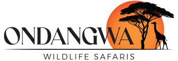 Ondangwa Wildlife Safaris