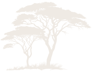 Ondangwa Wildlife Safaris